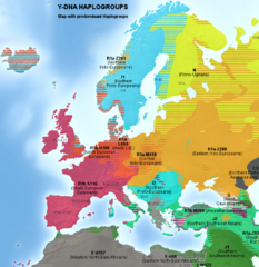 Y染色體單倍型類群在歐洲的分布。