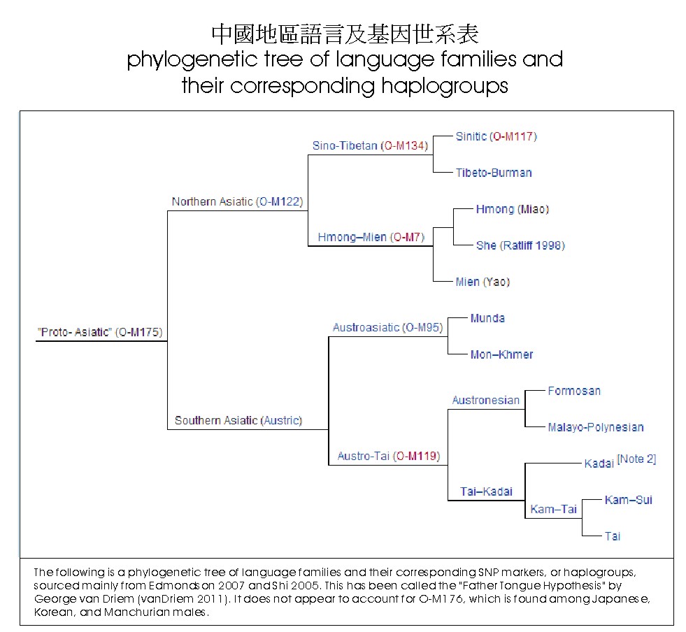 Tree of Language and Gens in China